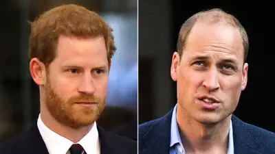 Prince William won't welcome Prince Harry back despite new plea for reconciliation: expert