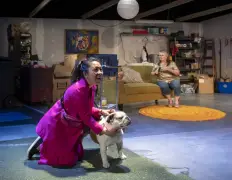 Best in show