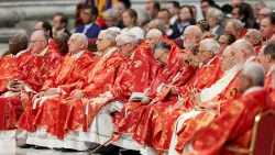 Cardinals gather for conclave to choose new pope and more top headlines